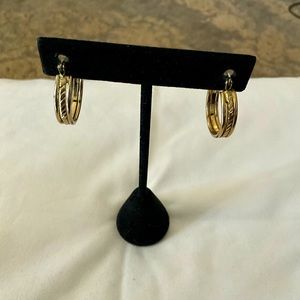 Goldtone Hoop Earrings